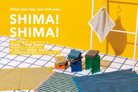 ＳＨＩＭＡ！ＳＨＩＭＡ！第三弾！！