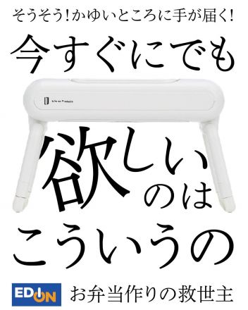 お弁当用のクールファンなんです