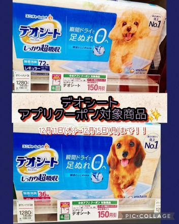 今週のアプリクーポン！ペットシートがお買い得☆