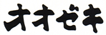 オオゼキ/経堂店のチラシ