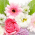 フラワーアレンジメントサークル花・花のチラシ