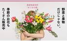 春のお花販売中！