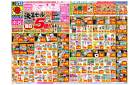3/9(日)〜3/15(土)
