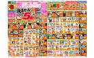 3/9(日)〜3/15(土)