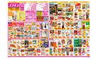 2025年3月14日～2025年3月24日_