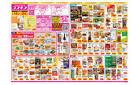 2025年3月14日～2025年3月24日_