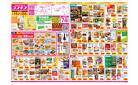 2025年3月14日～2025年3月24日_