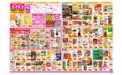 2025年3月14日～2025年3月24日_