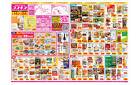 2025年3月14日～2025年3月24日_