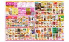 2025年3月14日〜2025年3月24日_