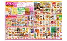 2025年3月14日～2025年3月24日_