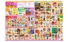 2025年3月14日～2025年3月24日_