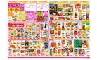 2025年3月14日～2025年3月24日_
