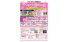 SpringFES！