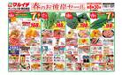 マルイチ3月16日号釜石エリア