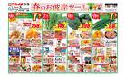 マルイチ3月16日号盛岡エリア