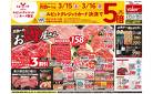 3月15日(土)号