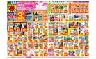3/16(日)～3/22(土)
