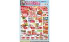 3月18日(火)号