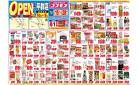 2025年3月15日～2025年3月28日_