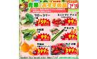 青果担当者オススメ商品をご紹介！