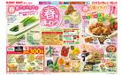 SUNNY MART 2025年 3月15日(土)～3月16日(日)チラシ「春を味わう♪&肉の日！」