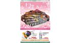 切花販売中　3/15号