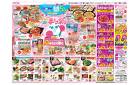 3月20日(木・祝)-23日(日）イオン超！春トク祭り