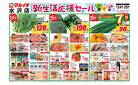 マルイチ3月24日号水沢エリア