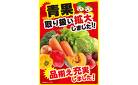 新鮮野菜がさらに充実！青果取り扱い拡大のお知らせ