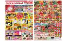 3月19日(水)～3月30日(日)