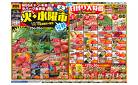 3/25号　火・水曜市　MEGAドン・キホーテラパーク金沢店