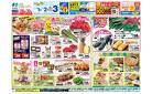 お弁当もっておでかけしよう！
