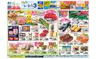 お弁当もっておでかけしよう！