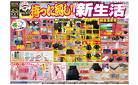 3/28号　待ったなし新生活　MEGAドン・キホーテUNY嬉野店