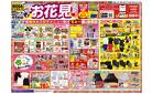 3/28号　お花見　MEGAドン・キホーテ弁天町店