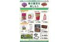 家庭菜園 2