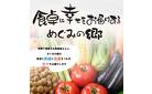 通販限定商品販売中！