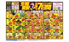 4/18号　生鮮驚安日替り7日間　MEGAドン・キホーテUNY 国府店
