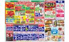4月19日(土)～4月21日(月)号
