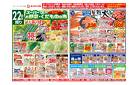 4/22号チラシ