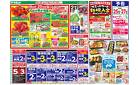 4月19日(土)～4月21日(月)号