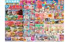 4/19（土）-4/20（日）