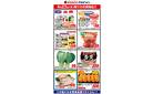 4/23限りのお買得品！