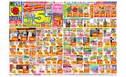 4/20(日)〜4/26(土)