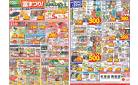 4月20日（日）～4月26日（土）
