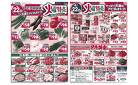 4月22日(火)限り