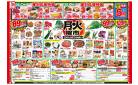4/28号　月火曜市