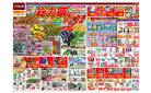 GW 総力祭（4月24日～5月6日）