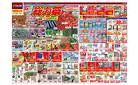 GW 総力祭（4月24日～5月6日）